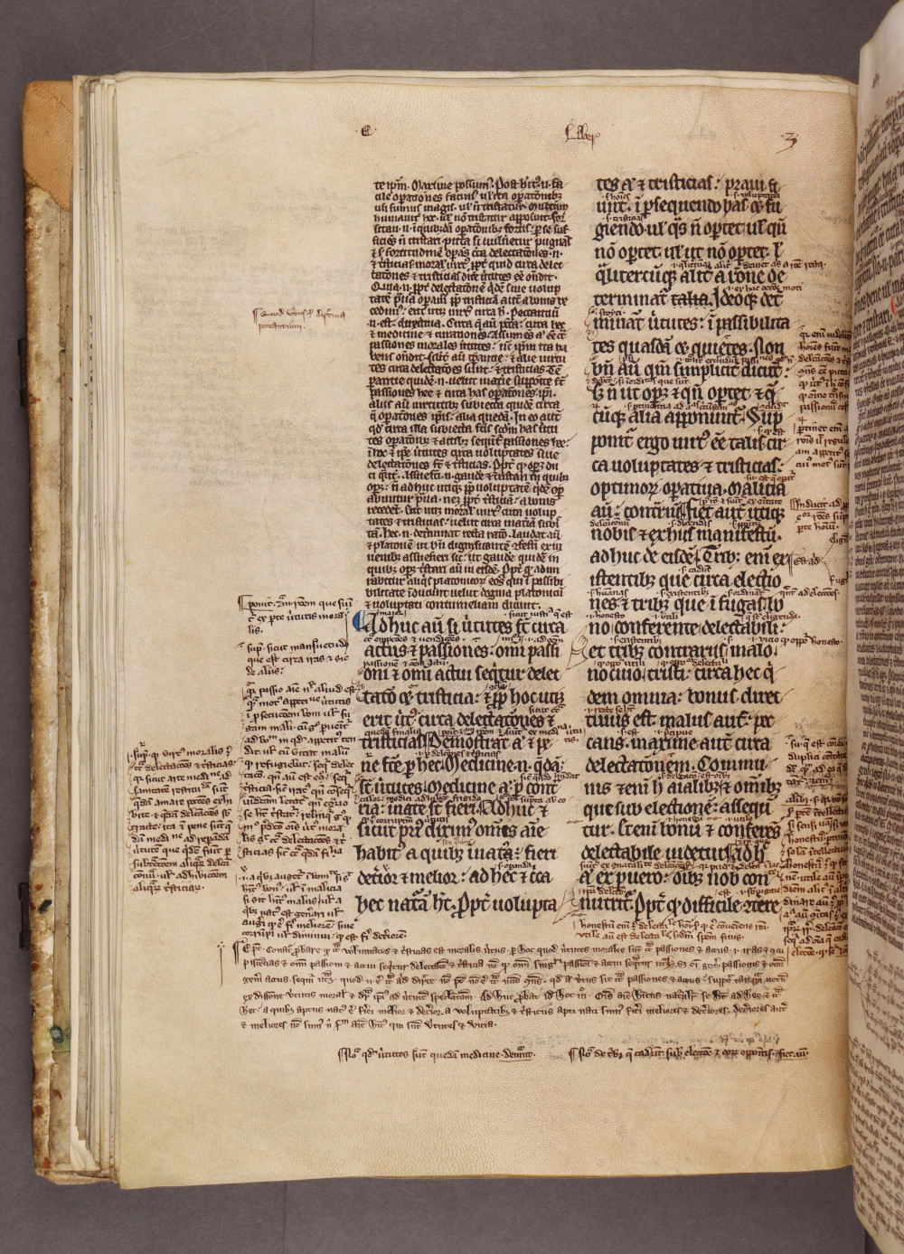 Folio 45 verso